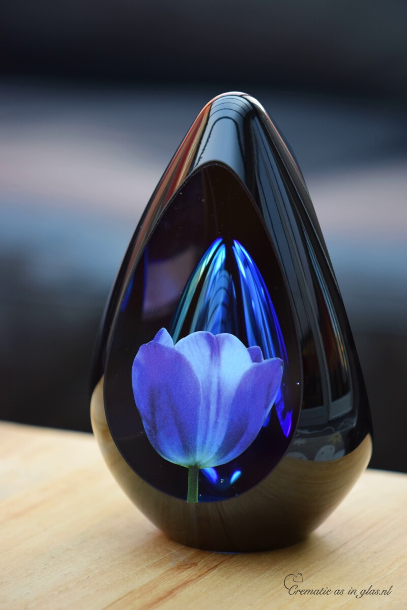 crematie-as-urn-glas-design-bloem-naam-tulp-blauw-crematieasinglas.nl